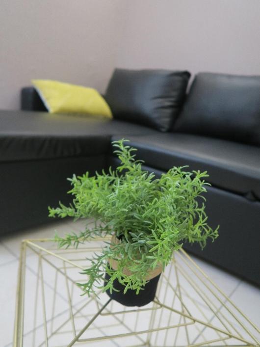 Appartement Rdc, Patio Tourbes Екстериор снимка